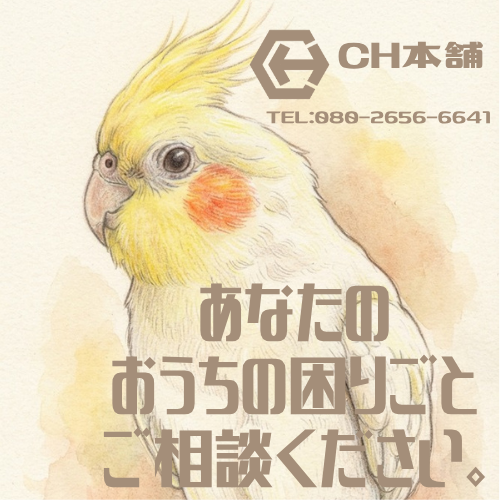 CH本舗様 ロゴ